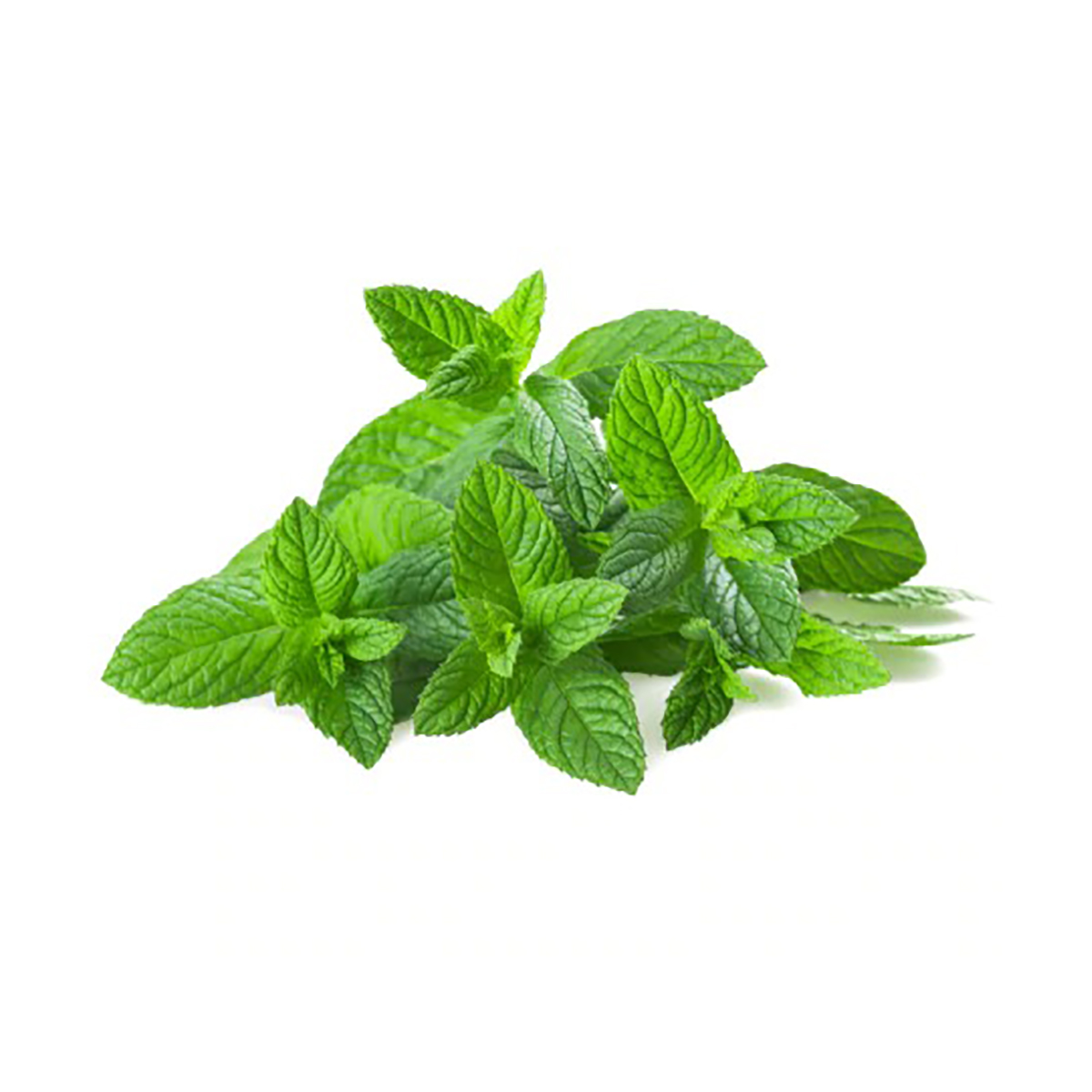 La menthe النعناع