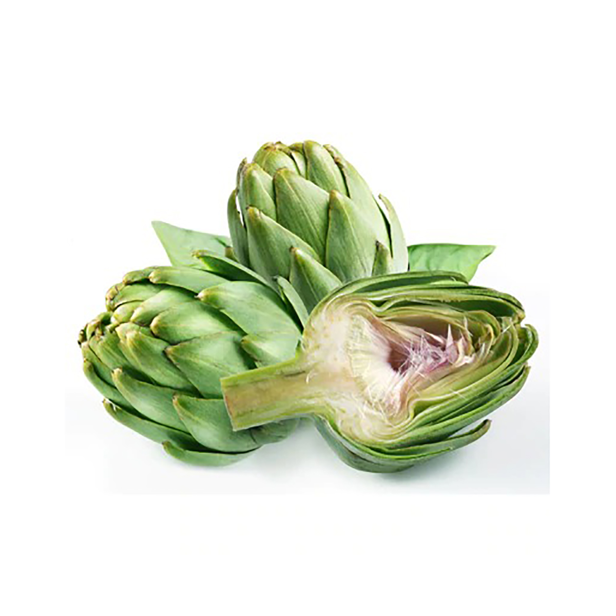 Artichaut القوق