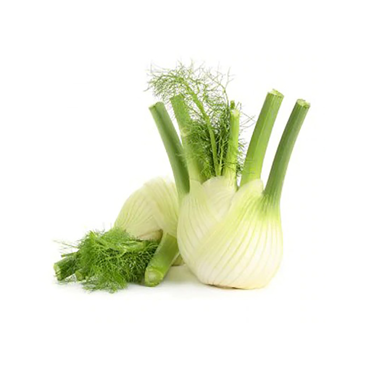 Fenouil البسباس