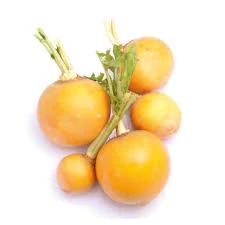 Navet jaune اللفت لصفر