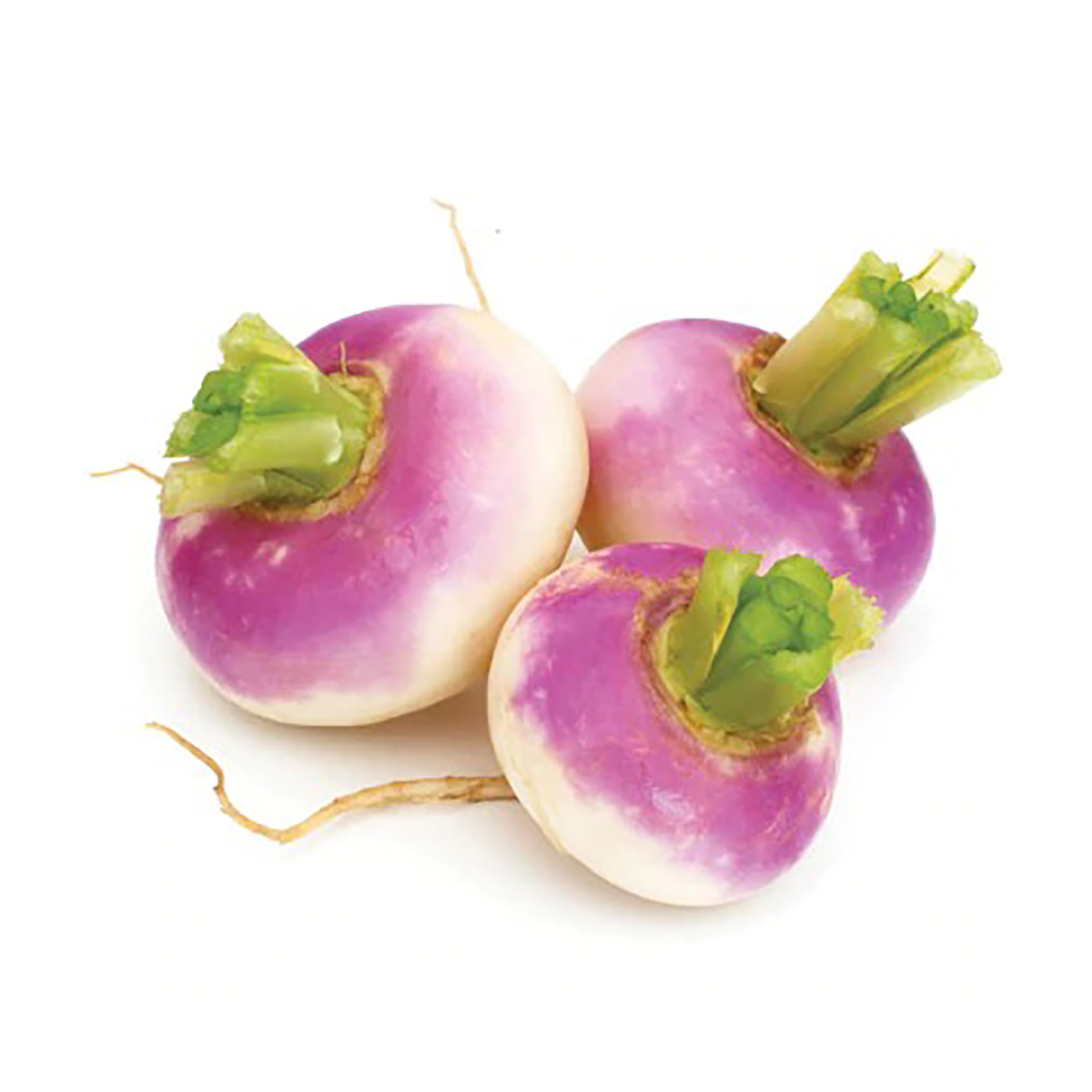 Navet rouge اللفت لحمر