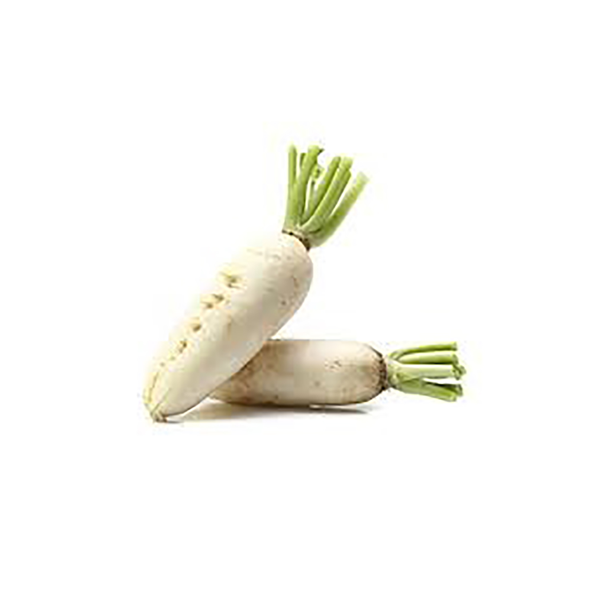 Navet blanc اللفت لبيض