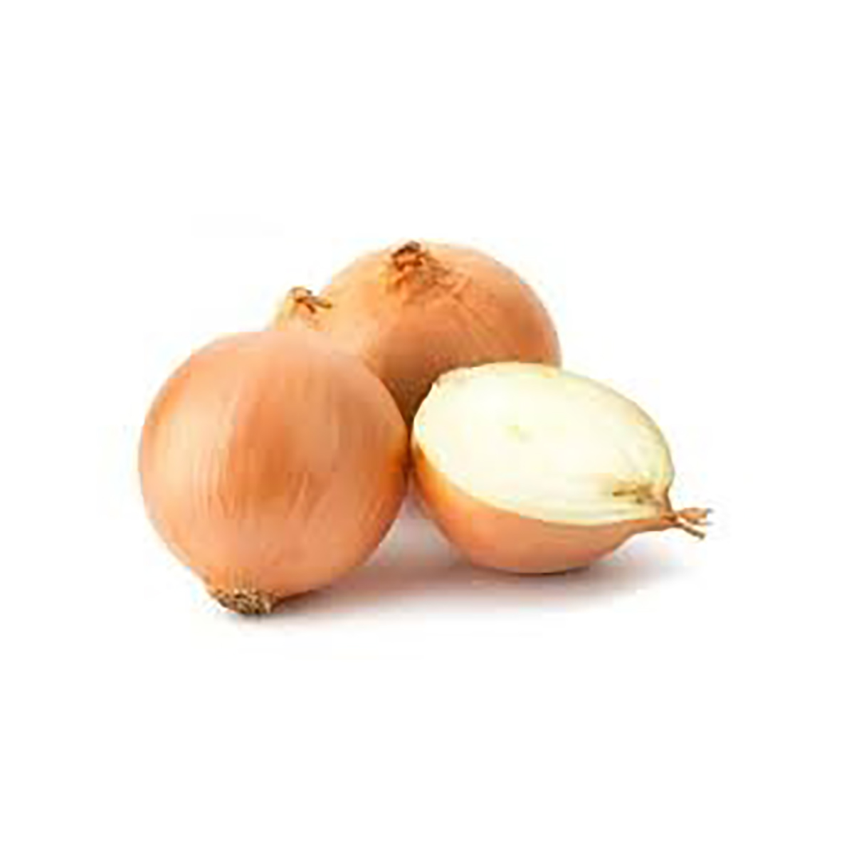 Oignon blanc البصلة البيضا