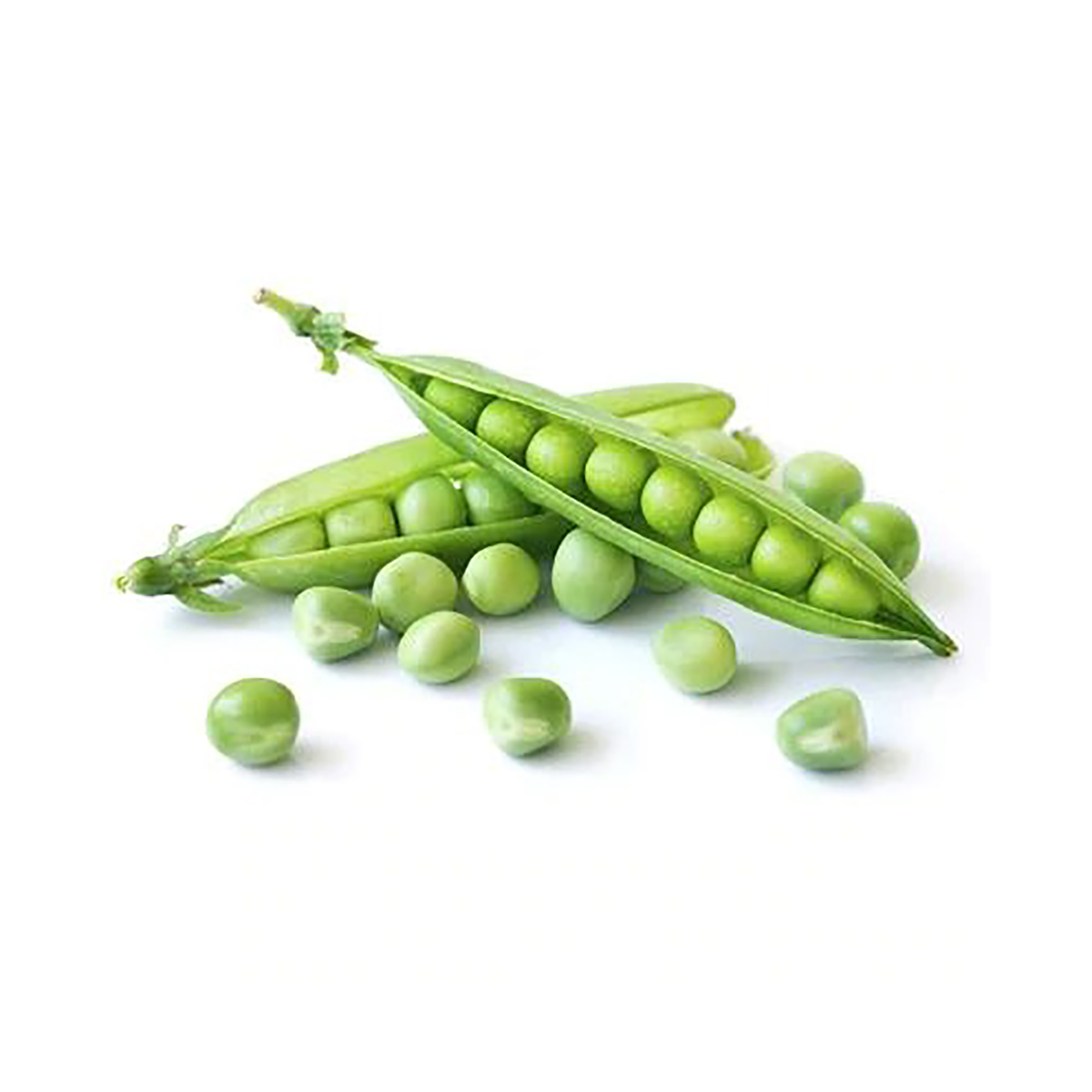 Petit-pois جلبانة
