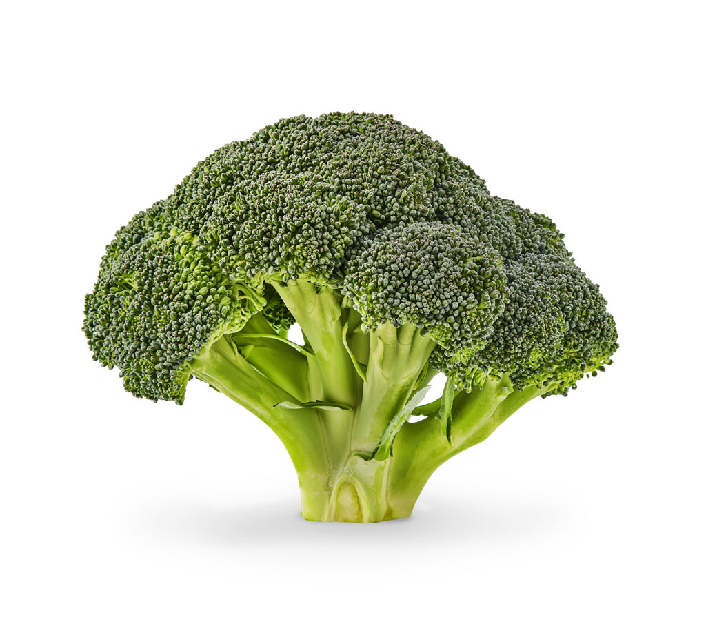 Brocoli بروكولي
