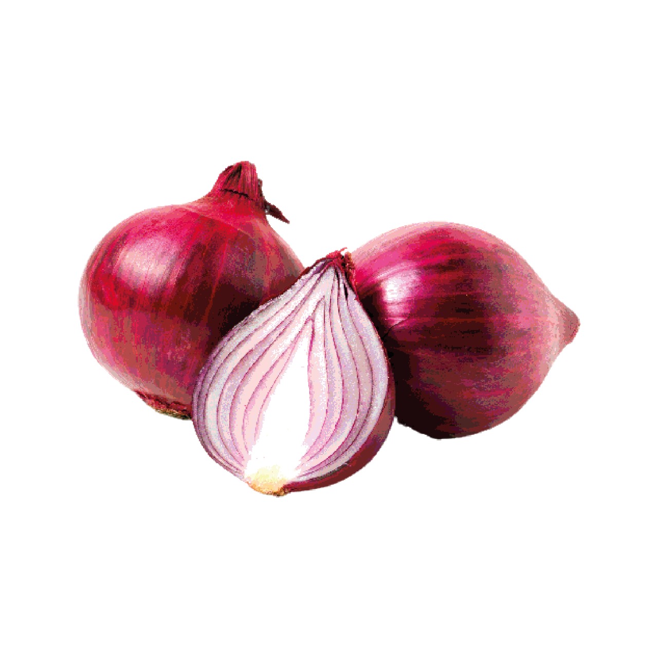 Oignon rouge البصلة الحمرا