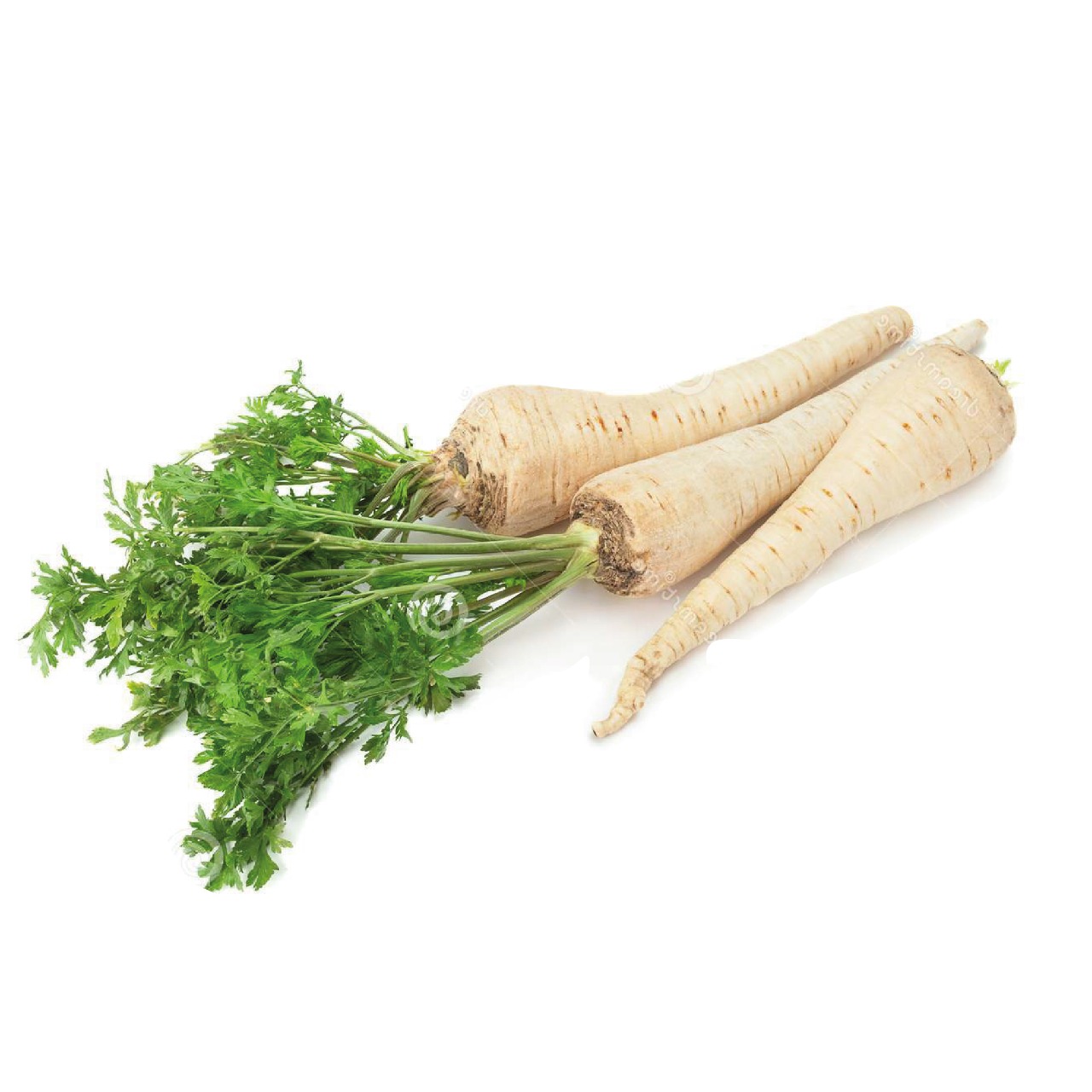 Navet gravé اللفت المحفور