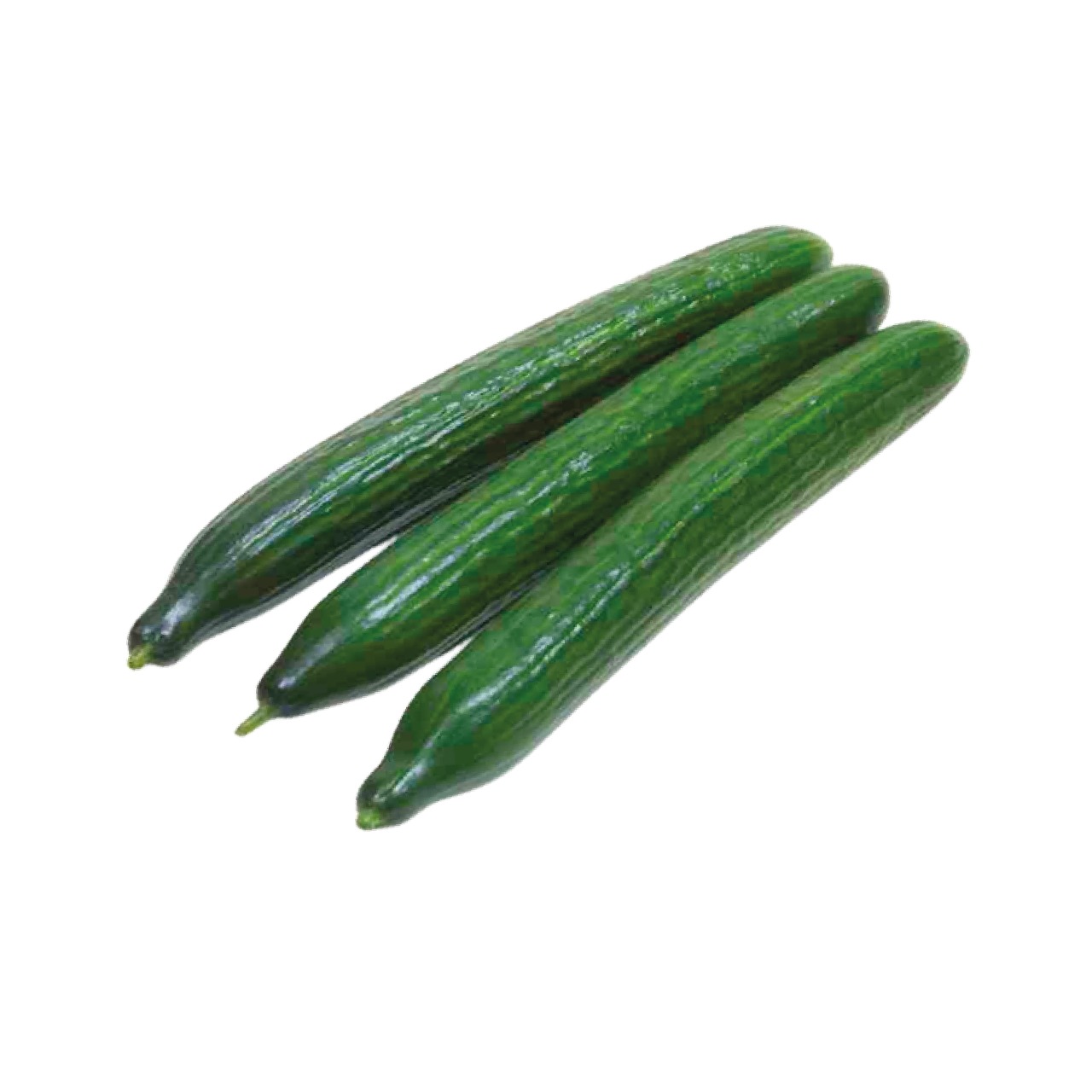 Concombre Long الفقوس