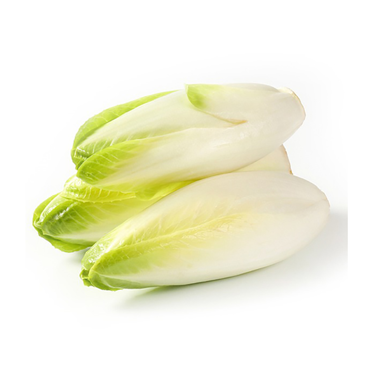 Endive لانديف