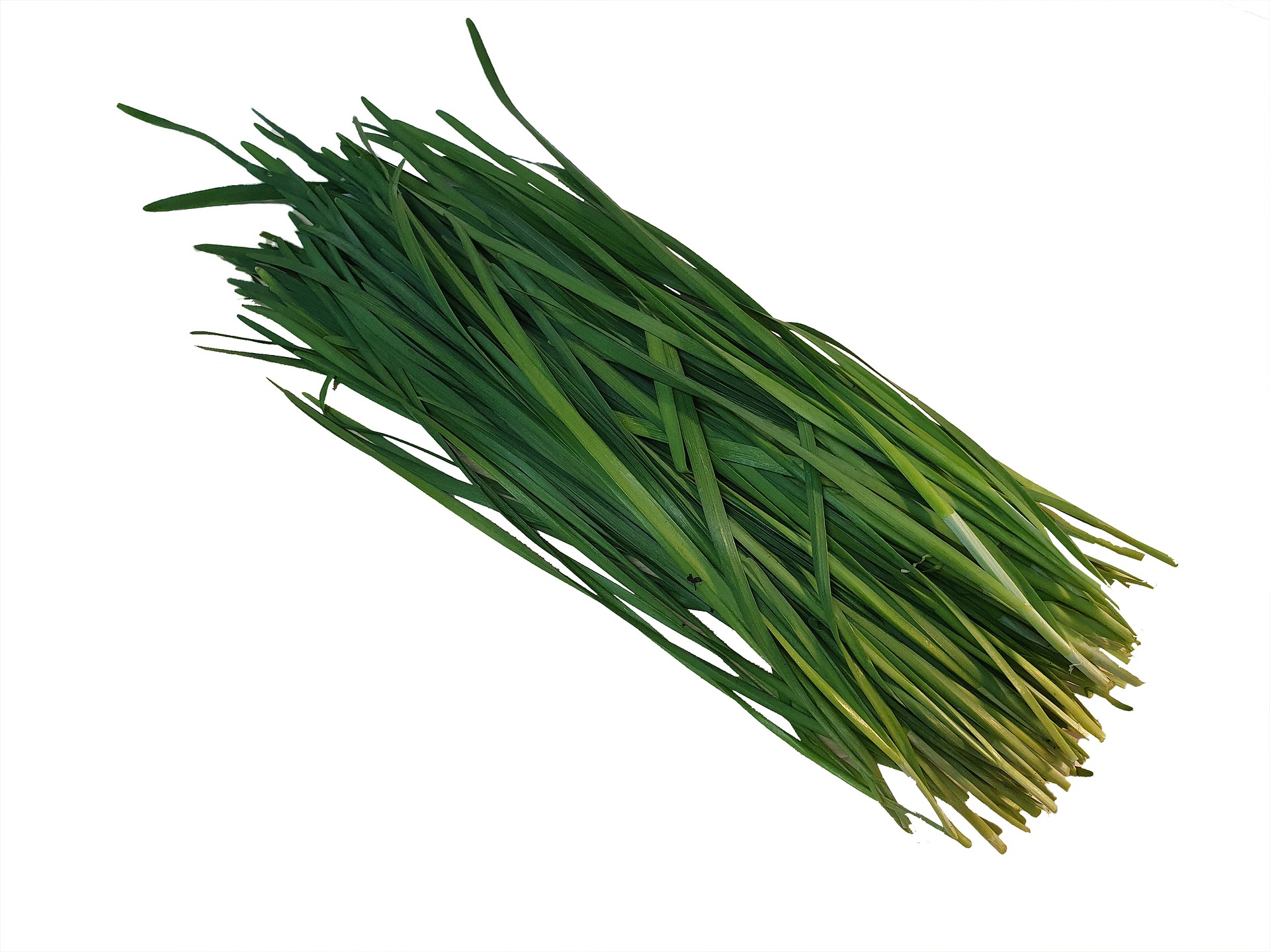 Ciboulette سيبوليت