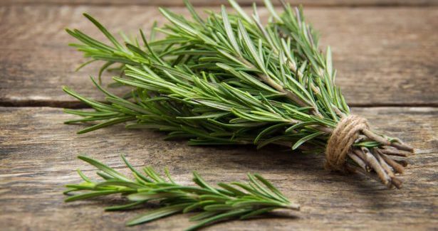 ROMARIN إكليل الجبل