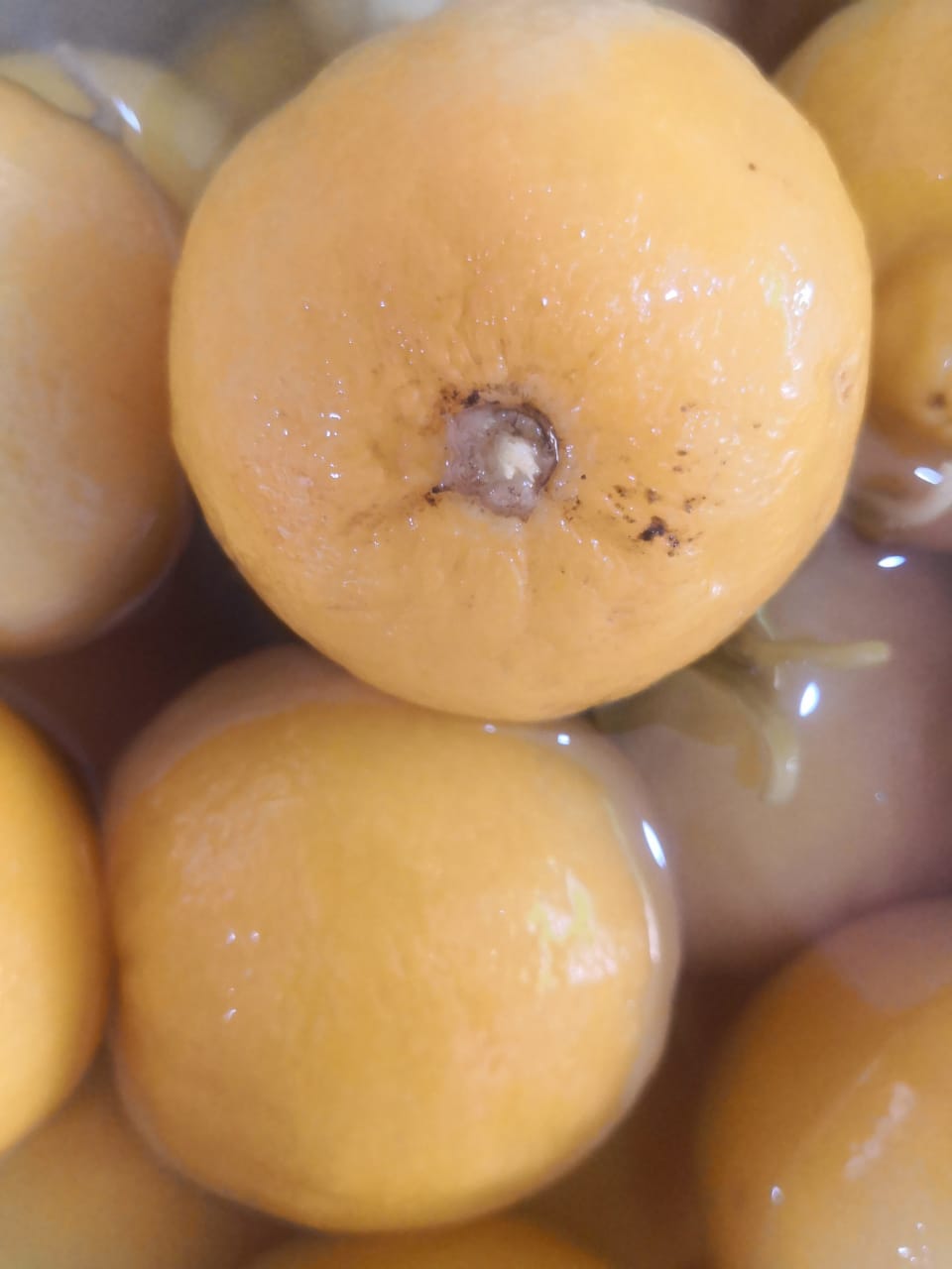 Citron Confit الحامض مصير